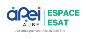 Logo_apei_ESPACE_ESAT_baseline